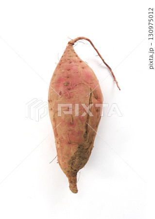 新鮮なサツマイモ 130975012