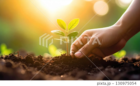 《AI画像》環境保護 植林イメージ 新芽を植える手のクローズアップ 《AI画像》環境保護 植林イメージ 新芽を植える手のクローズアップ 130975054