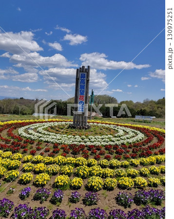 季節の花に囲まれた群馬県高崎市「鼻高展望花の丘」 130975251