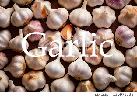 並んだニンニクと英語のスペル 並んだニンニクと英語のスペル 130975335