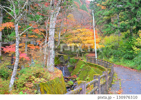 沢伝いに紅葉した木々　晩秋の榛名神社二の鳥居付近　　　 130976310