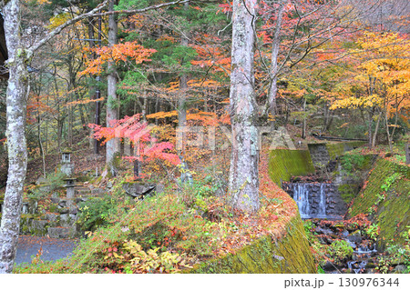沢伝いに紅葉した木々　晩秋の榛名神社二の鳥居付近　　　 130976344