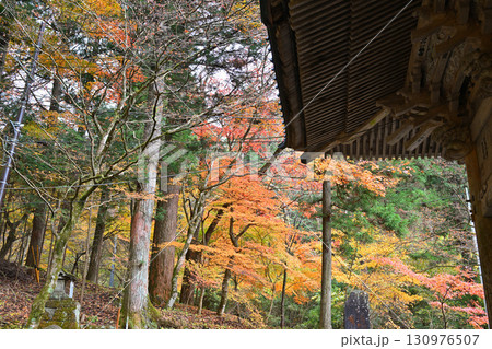見頃の紅葉 晩秋の榛名神社二の鳥居付近 見頃の紅葉 晩秋の榛名神社二の鳥居付近 130976507