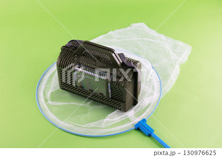 昆虫採取イメージ 昆虫採取イメージ 130976625