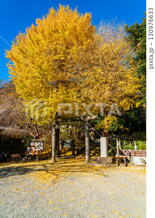 【神奈川県】大きな銀杏が美しい鎌倉の葛原岡神社 【神奈川県】大きな銀杏が美しい鎌倉の葛原岡神社 130976633
