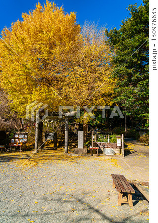 【神奈川県】大きな銀杏が美しい鎌倉の葛原岡神社 130976635