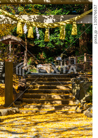 【神奈川県】銀杏の絨毯が美しい鎌倉の葛原岡神社 130976637