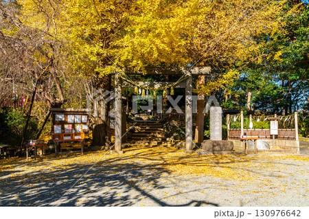 【神奈川県】大きな銀杏が美しい鎌倉の葛原岡神社 130976642
