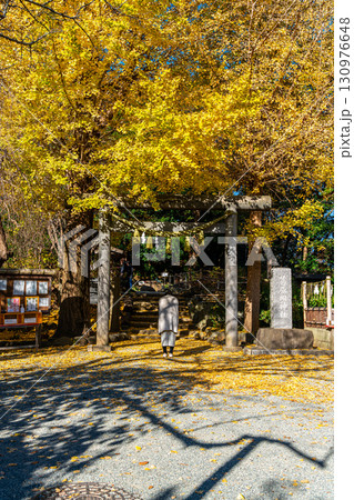 【神奈川県】大きな銀杏が美しい鎌倉の葛原岡神社 130976648