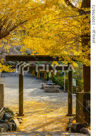 【神奈川県】大きな銀杏が美しい鎌倉の葛原岡神社 130976672