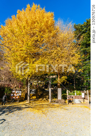 【神奈川県】大きな銀杏が美しい鎌倉の葛原岡神社 130976716