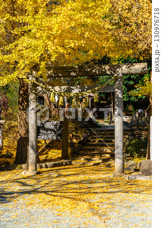 【神奈川県】大きな銀杏が美しい鎌倉の葛原岡神社 130976718
