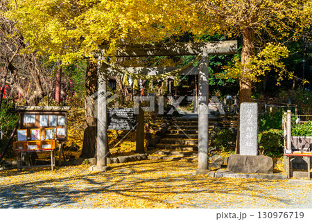 【神奈川県】大きな銀杏が美しい鎌倉の葛原岡神社 130976719