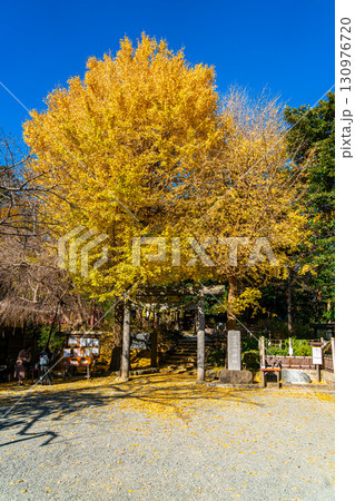 【神奈川県】大きな銀杏が美しい鎌倉の葛原岡神社 130976720