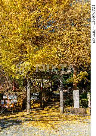 【神奈川県】大きな銀杏が美しい鎌倉の葛原岡神社 130976721