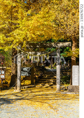 【神奈川県】大きな銀杏が美しい鎌倉の葛原岡神社 130976722