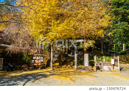 【神奈川県】大きな銀杏が美しい鎌倉の葛原岡神社 130976724