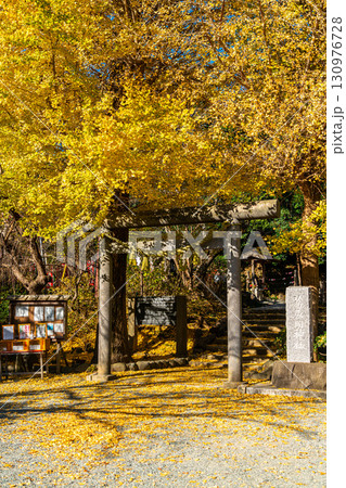 【神奈川県】大きな銀杏が美しい鎌倉の葛原岡神社 130976728
