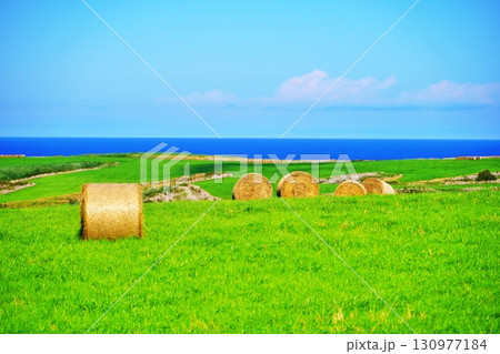宗谷丘陵の絶景 宗谷丘陵の絶景 130977184