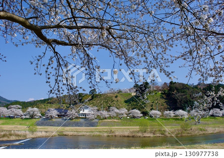 春の月山富田城を望む（古城遠望） 130977738