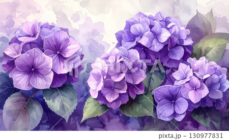 A vibrant purple iris blossom with delicate petals stands out against a verdant green background 130977831