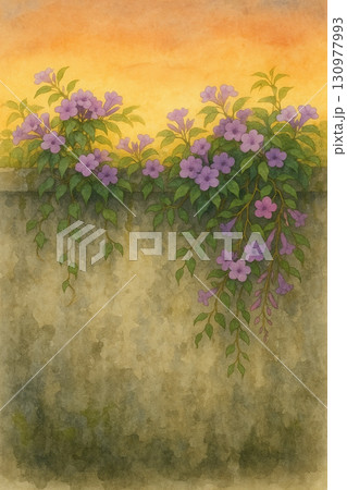 フジの花 つる性 石垣 130977993