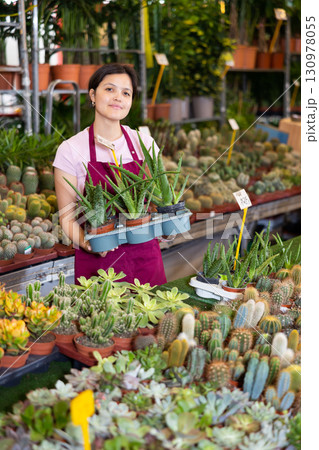 Asian female florist caring for potted aloe in garden store Asian female florist caring for potted aloe in garden store 130978055