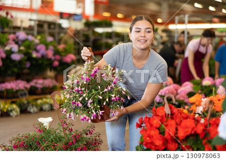 Young woman customer choosing fuchsia in flower-pot in open-air plants market 130978063