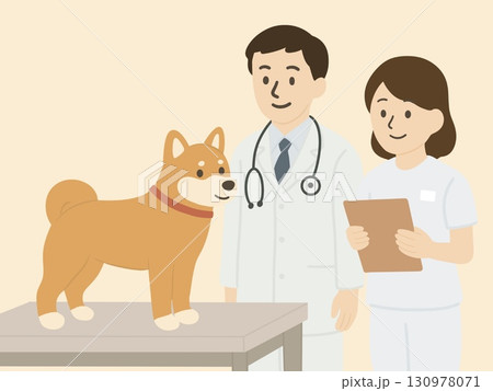 犬猫動物病院の診察台にのっている犬と医師と看護師 130978071