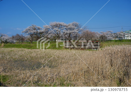 春の長閑な日本の農村風景 春の長閑な日本の農村風景 130978755