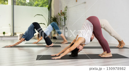 Focused Latin female practicing yoga pose Downward Facing Dog or Adho Mukha Svanasana in fitness gym group class. Healthy lifestyle and wellness concept 130978982