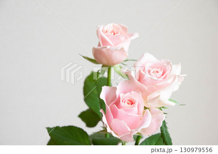 スイートアバランチェ 130979556