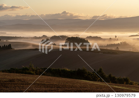朝霧の大地 130979579