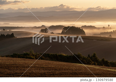 朝霧の大地 130979580
