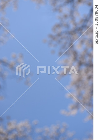 サクラのトンネルをぼかした背景素材 130979604