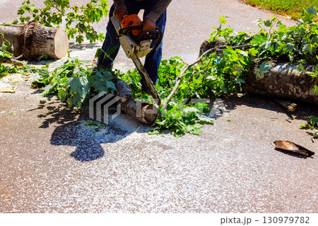 Tree cutting activity in residential area during works day with chainsaw fallen branches on road Tree cutting activity in residential area during works day with chainsaw fallen branches on road 130979782