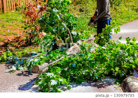 Person using chainsaw to cut down tree trunk in residential area 130979785