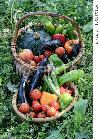 旬の夏野菜 旬の夏野菜 130980116
