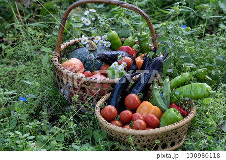 旬の夏野菜 130980118
