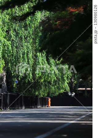 秋田　仙北　丸ポストのある風景（角館重伝建地区） 130980126