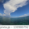南国リゾートの海 130980792