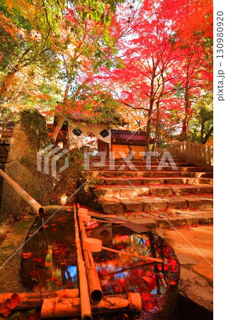 【滋賀県】晴天の永源寺の総門と紅葉 130980920