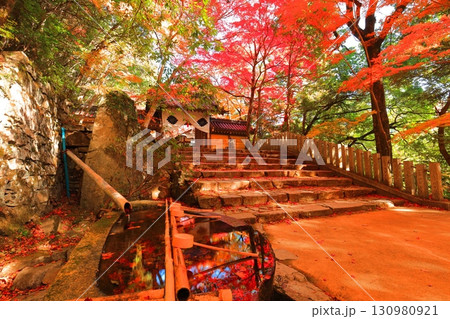 【滋賀県】晴天の永源寺の総門と紅葉 【滋賀県】晴天の永源寺の総門と紅葉 130980921