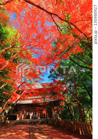【滋賀県】晴天の永源寺の山門と紅葉 130980927