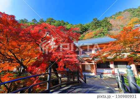 【滋賀県】晴天の永源寺の紅葉 130980931
