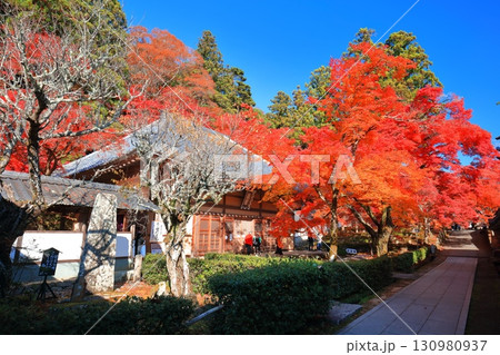 【滋賀県】晴天の永源寺の紅葉 【滋賀県】晴天の永源寺の紅葉 130980937