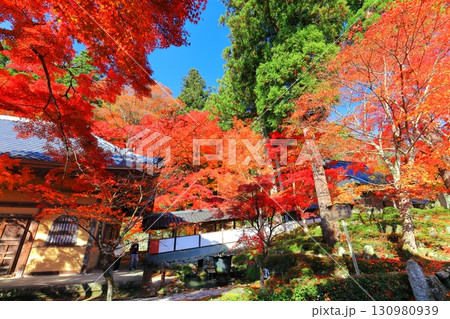 【滋賀県】晴天の永源寺の紅葉 130980939
