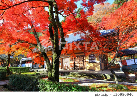 【滋賀県】晴天の永源寺の紅葉 130980940