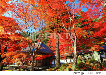 【滋賀県】晴天の永源寺の紅葉 【滋賀県】晴天の永源寺の紅葉 130980942