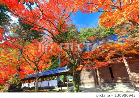 【滋賀県】晴天の永源寺の紅葉 130980943